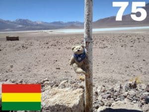 Weltreisebär Bolivien