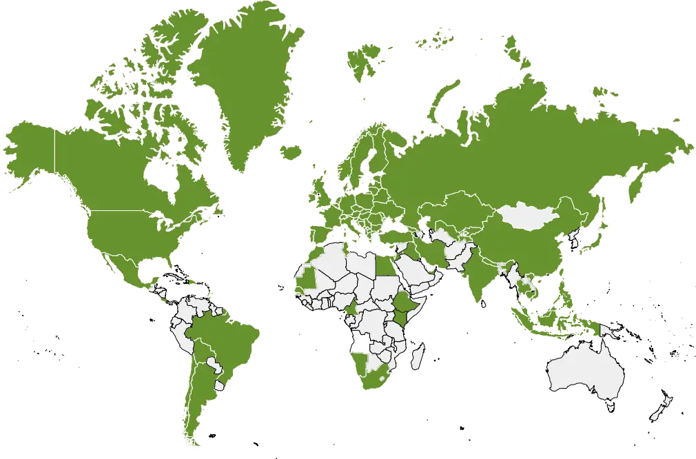 Weltreisebär Weltkarte